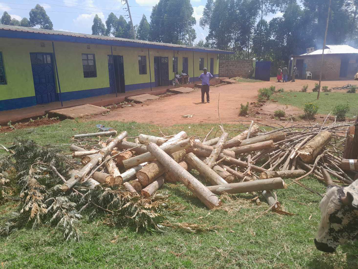 The school buildings and grounds in Bungoma